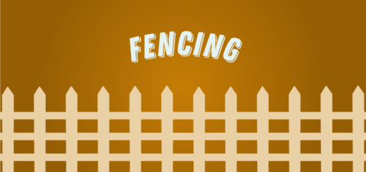 Fencing Wizolympics Tokyo 2020