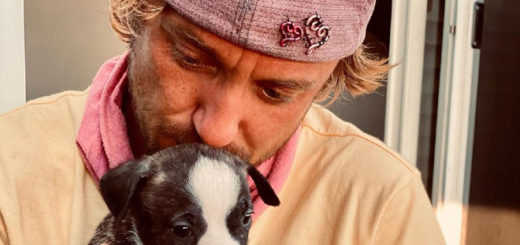 An image of Tom Felton holding a puppy.