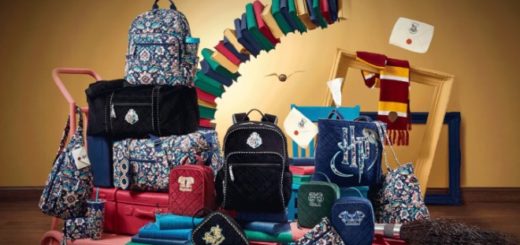 Various bags, handbags, lunchbags, wallets are pictured in Hogwarts themed designs among floating Harry Potter items such as books, acceptence letters, scarves, and the golden Snitch.