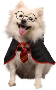 Harry potter 2024 pet accessories