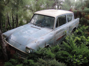 The Ford Anglia is lost in the Forbidden Forest