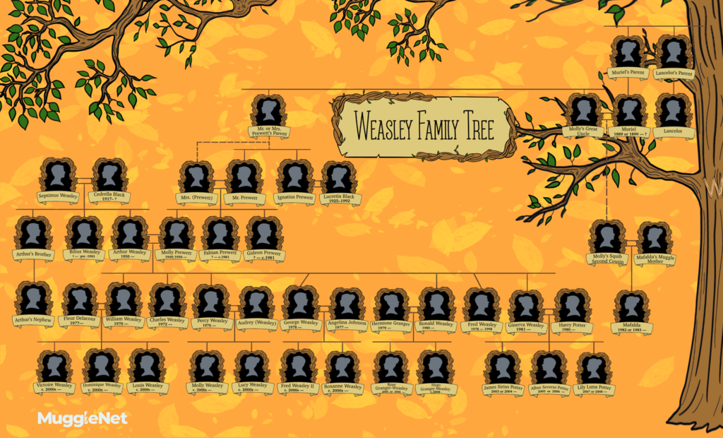 The Weasley Family Tree - Linking Minor Characters | MuggleNet