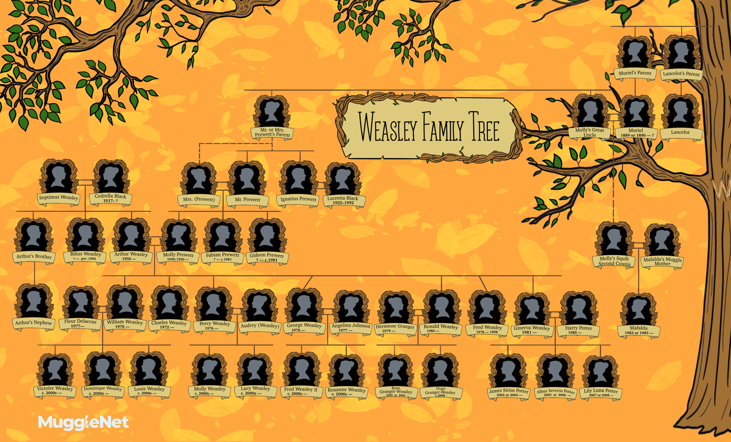The Weasley Family  Tree  Linking Minor Characters MuggleNet