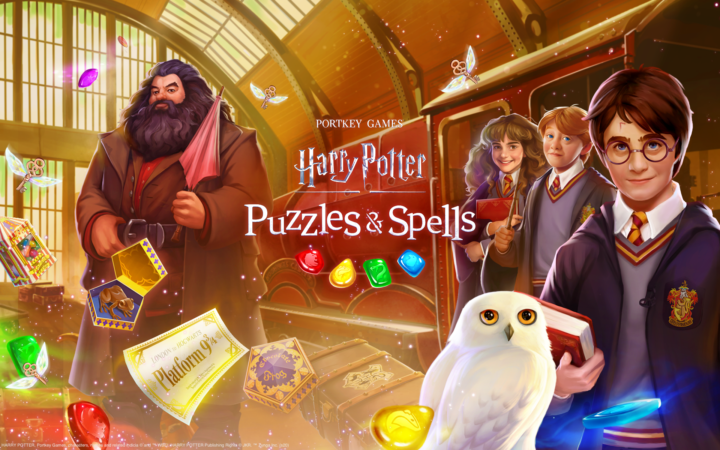 harry potter puzzles and spells zayn