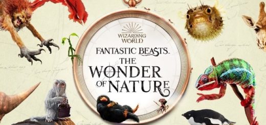 Fantastic Beasts: The Wonder of Nature exhibition promotional graphic