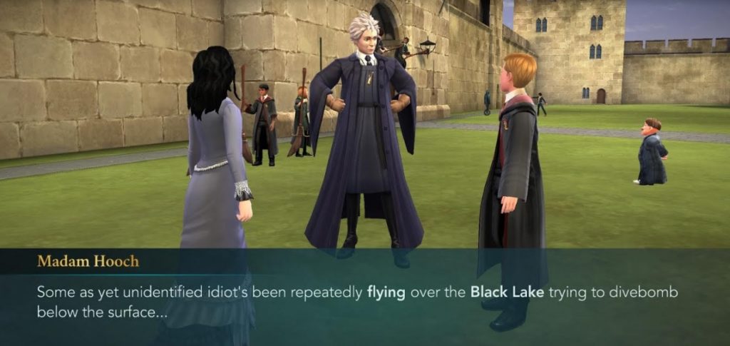 Madam Hooch is on the lookout for idiots in "Hogwarts Mystery".