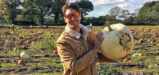 James Phelps went out pumpkin picking.