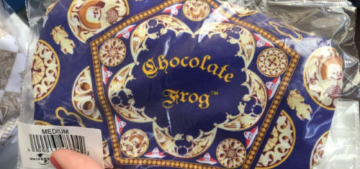 This image from WDW News Today shows the new Chocolate Frog box face mask at Universal Orlando Resort as a featured image.