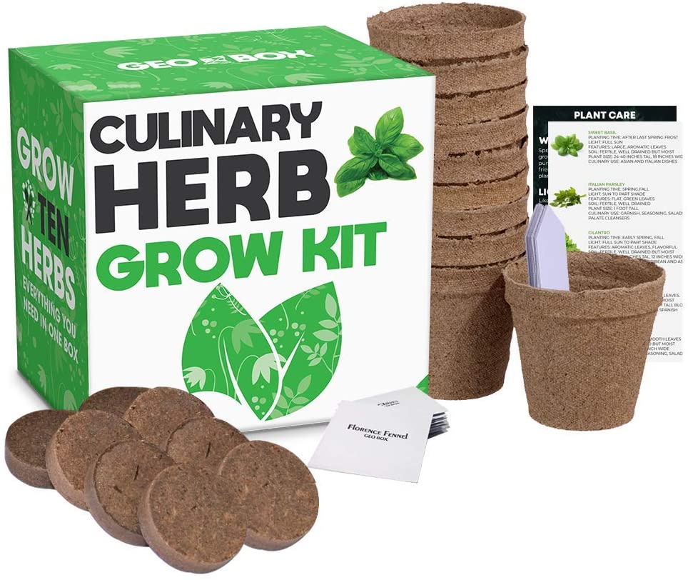 This kit can be used to grow your own herbs indoors.