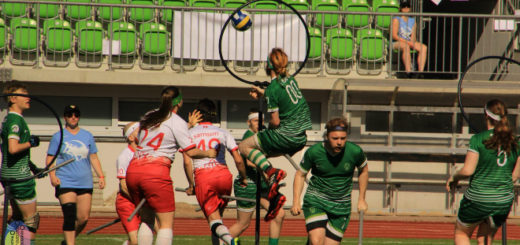 There is one keeper from Ireland who is jumping (but it looks like he's flying) and looking at the quaffle in hoops in the middle. There are three players in pink jerseys and four other players from Ireland.