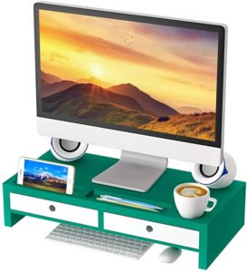 Green monitor riser and organizer