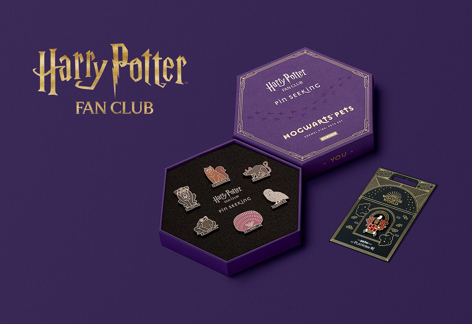 Harry Potter Fan Club Pin Seeking Shops of The Wizarding World Enamel 6 Pin  Set