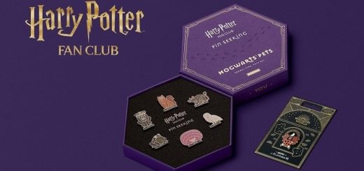 Harry Potter Fan Club Pin Seeking - Harry Potter Essentials Enamel