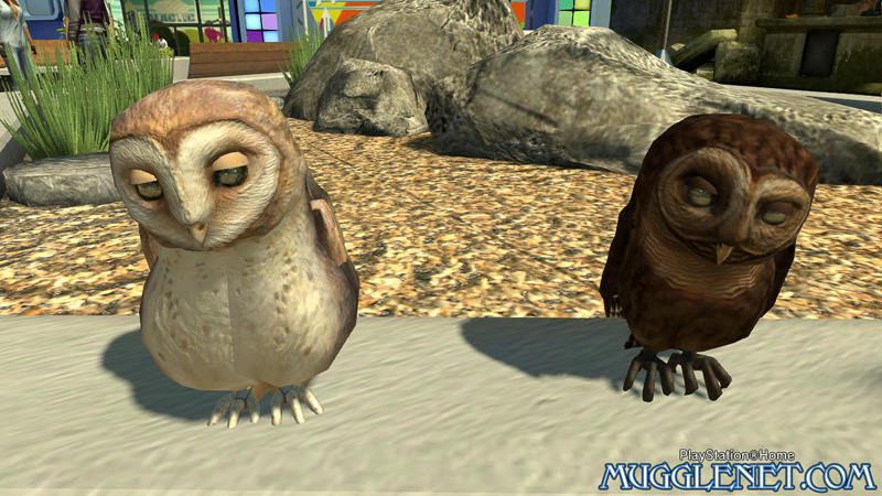 Pottermore playstation owls