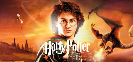 The poster for the "Harry Potter and the Goblet of Fire" videogame is pictured.