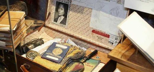 Newt's suitcase is displayed in the Natural History Museum exhibit as part of the Fantastic Beasts: The Wonder of Nature exhibit.