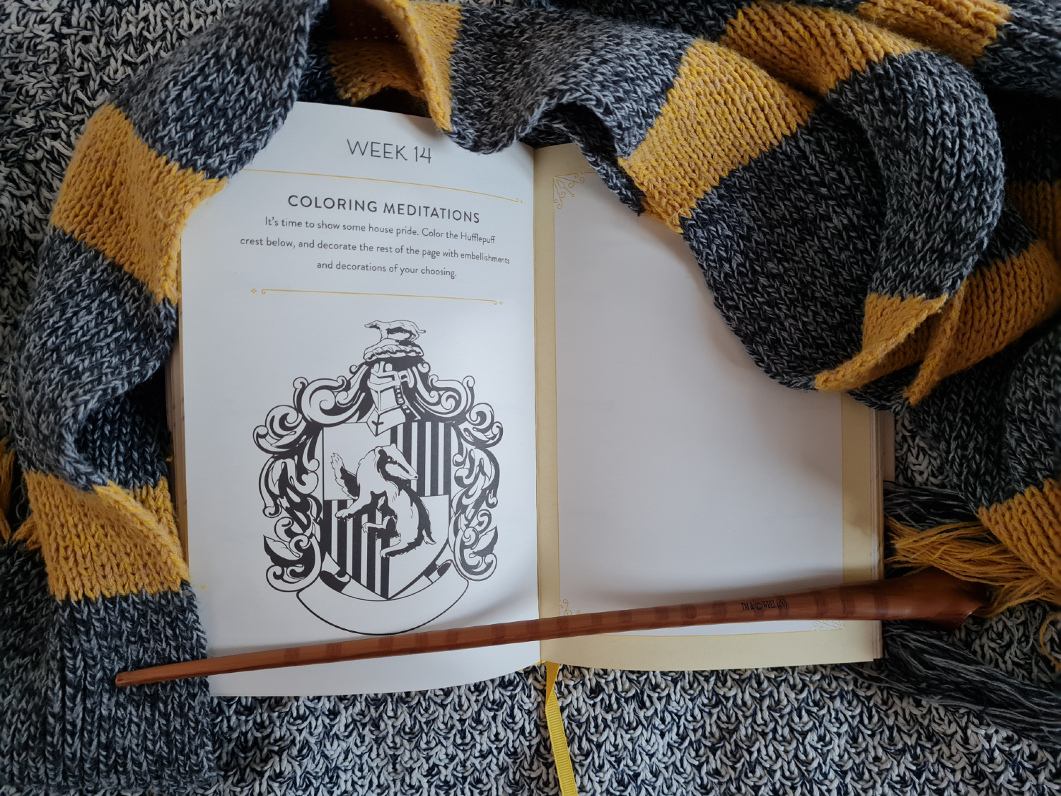 Hufflepuff crest coloring journal prompt