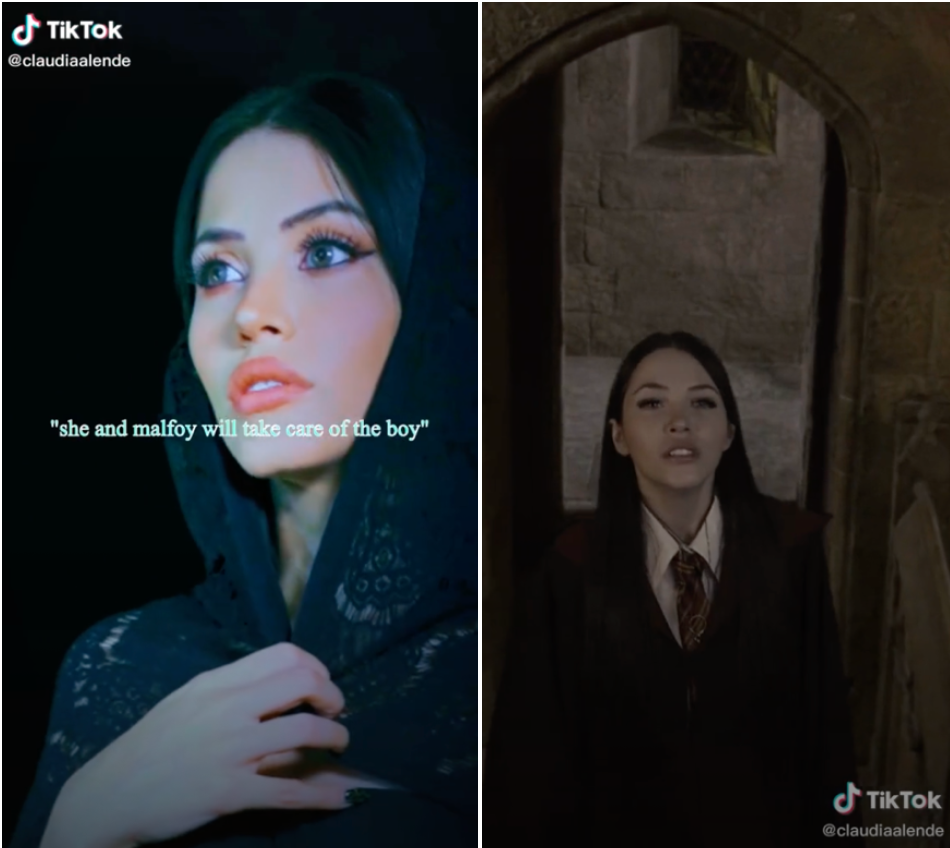 Harry potter on sale tik tok