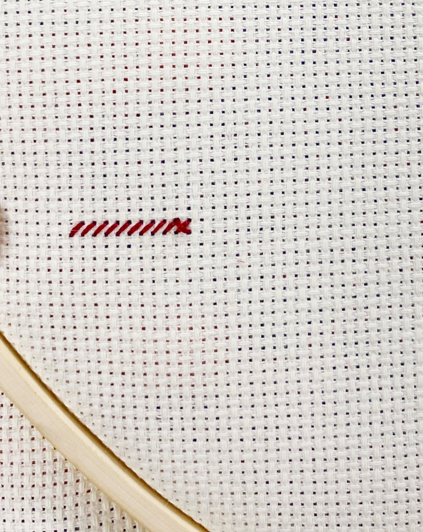 Create a row of stitches.