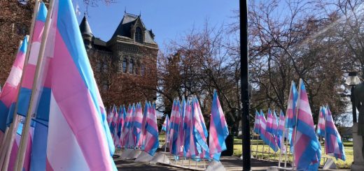 Multiple transgender flags are pictured in Salt Lake City, Utah, on the Transgender Day of Remembrance.