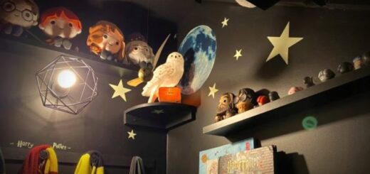 A cupboard under the stairs is pictured, painted with magical stars and stuffed with Harry Potter toys, stuffed owls, scarves, and pictures.