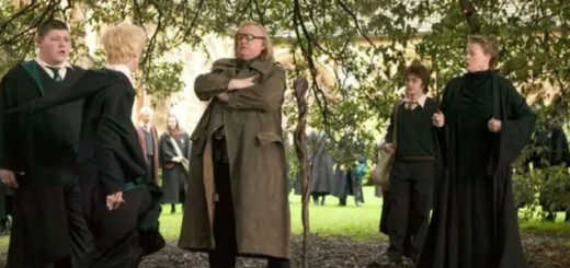 Harry Potter scene with Brendan Gleeson