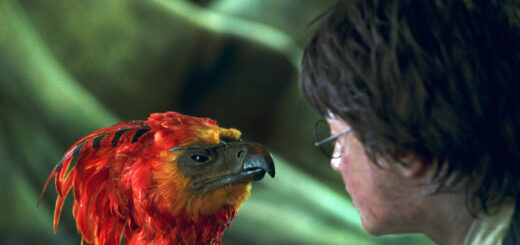 Fawkes and Harry in Chamber of Secrets