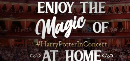 Harry Potter In Concert