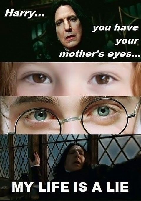 Harry Potter: 10 Memes That Sum Up Draco And Harry's Relationship