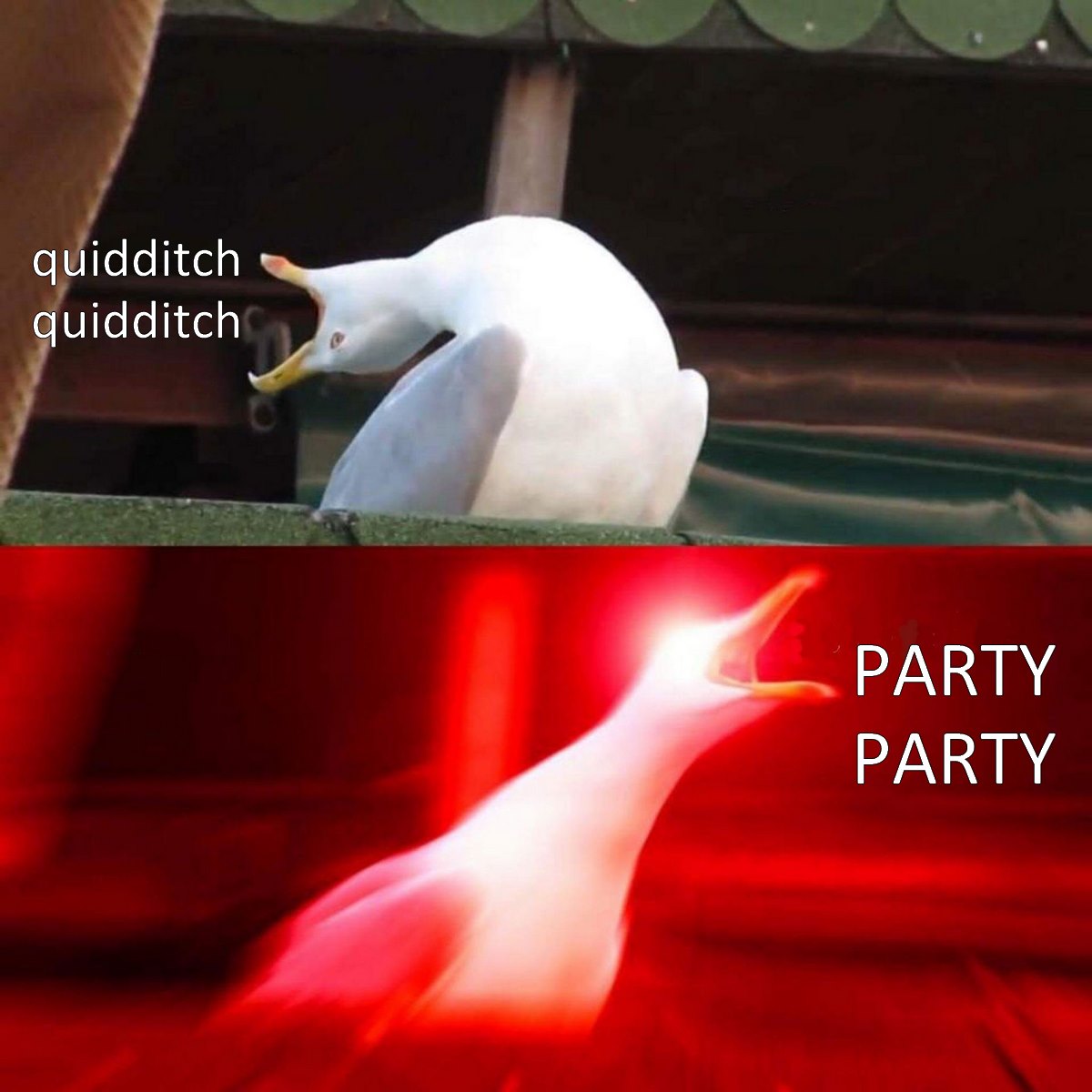 “You say ‘quidditch,’ I say ‘party.’ Quidditch, quidditch! Party, party!”