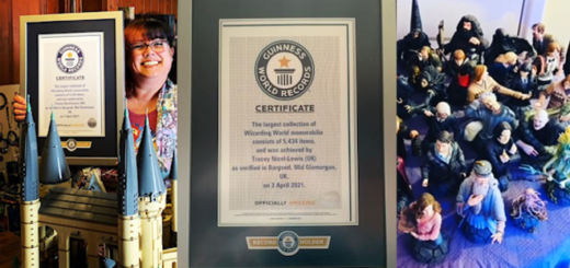 Tracey Nicol-Lewis, the holder of the Guinness World Record for the largest collection of Wizarding World memorabilia, is pictured in a featured image that also features a photographs of her certificate and part of her collection.