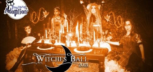 On October 16, Tea and Tarot Emporium & Events, in association with Isle of Valhalla, will be holding the inaugural Central Florida Witches Ball benefitting the charity Transfiguring Adoption.