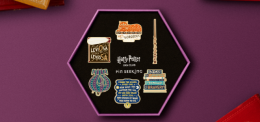 Hermione Essentials Pin Set