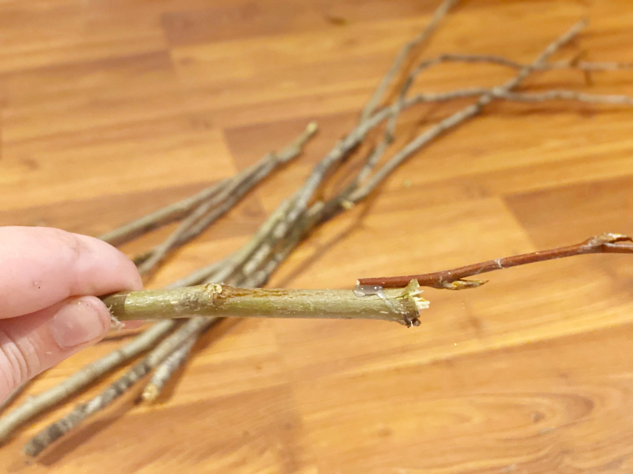 Use hot glue to attach the twigs.