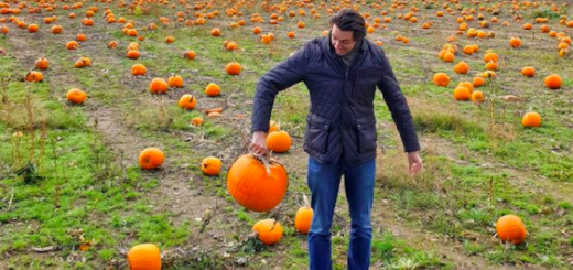 James Phelps holds up a pumpkin he's picked in the middle of a pumpkin patch.