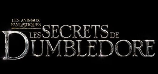 The French "Secrets of Dumbledore" title