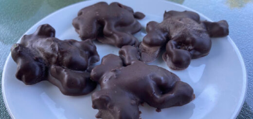 Chocolate Frogs by Alana