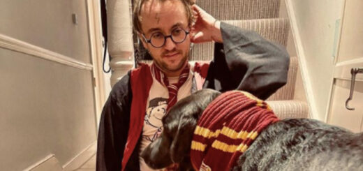 Tom Felton sits at the bottom of a staircase with his dog, Willow. They are both dressed in Gryffindor clothes and Tom is wearing round glasses and has a scar drawn on his forehead.