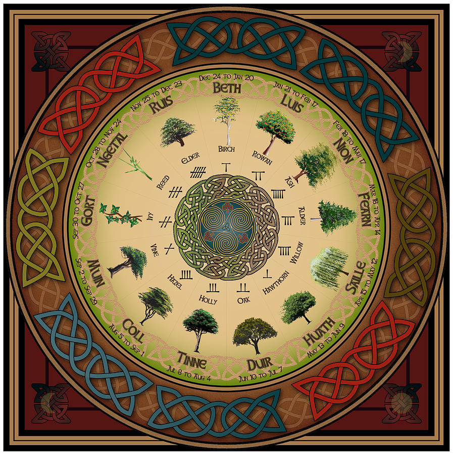 This Celtic Tree Calendar is used in wandlore.