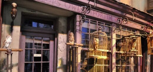 A photo of the outside of Eeylops Owl Emporium.