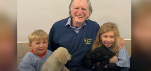 David Bradley at a Guide Dog facililty.