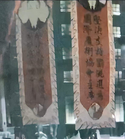 Liu Tao banner