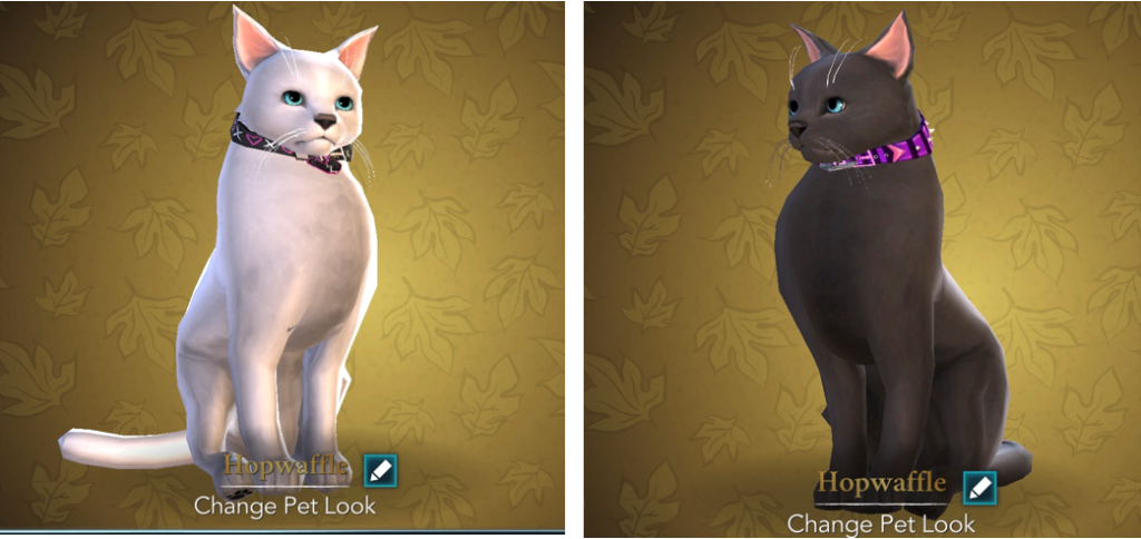 New pet looks in "Harry Potter: Hogwarts Mystery"