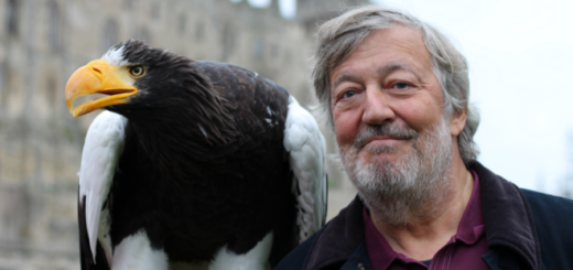 Stephen Fry poses with a bird of prey for "Fantastic Beasts: A Natural History." Image ©BBC Studios 2022