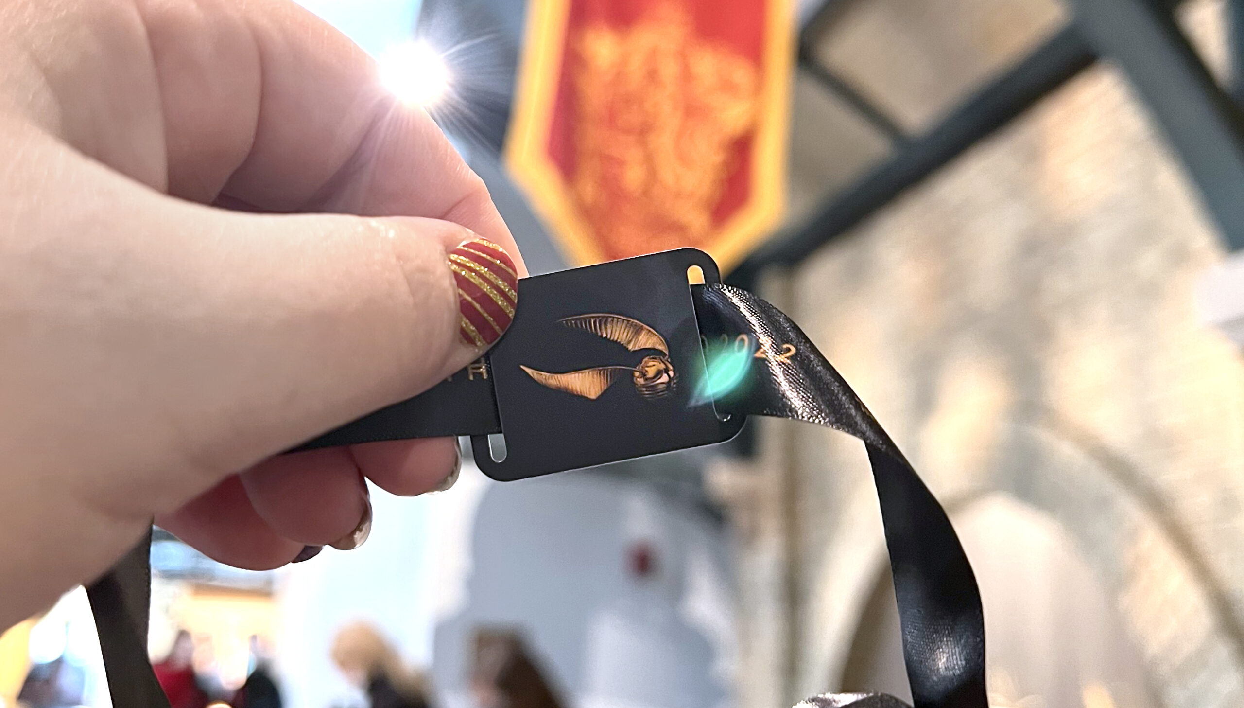 This is the wristband to get into the Harry Potter Exhibit at Franklin Institute.