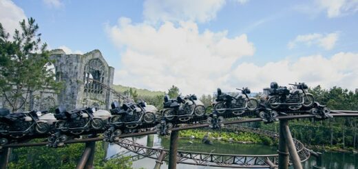 Hagrid’s Magical Creatures Motorbike Adventure