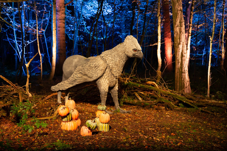 Statue of Buckbeak the Hippogriff in the Forbidden Forest Experience.