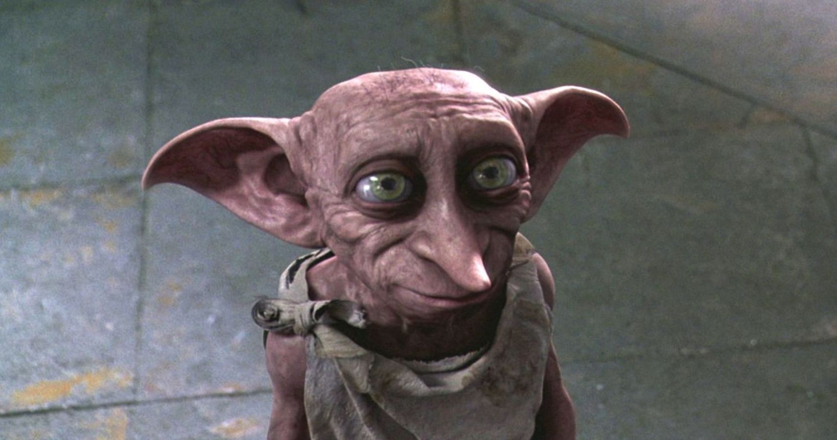 Meet Dobby, newborn aardvark who looks like 'Harry Potter' character