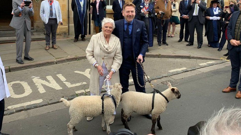 Sir Kenneth Branagh and Dame Judi Dench wrangling sheep.