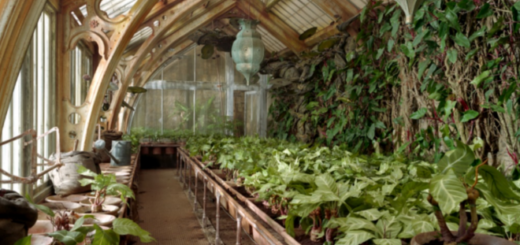 A featured image of the Herbology greenhouse to promote the Mandrakes and Magical Creatures feature at Warner Bros. Studio Tour London is shown.